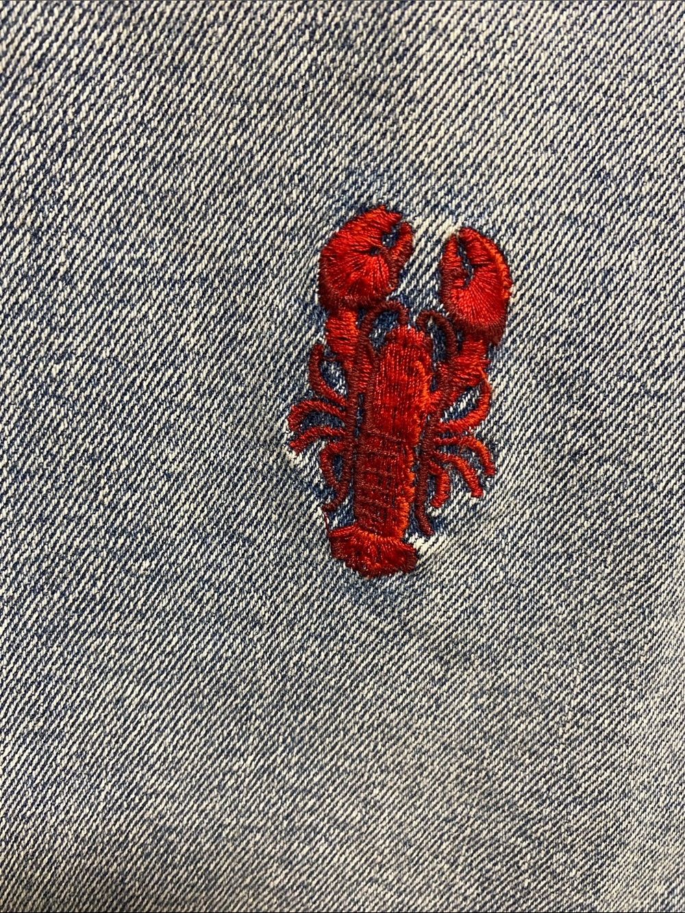 DRIFTWOOD Light Blue Wide-Leg Jeans with Red Embroidered Lobsters - Picture 4 of 12